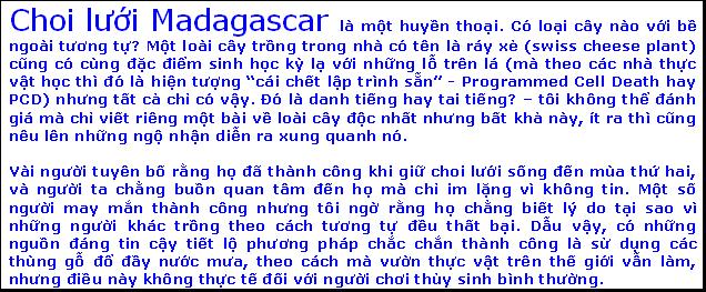 Thiết kế sân vườn, thiết kế sân vườn biệt thự, thiết kế sân vườn đẹp, sân vườn biệt thự, sân vườn sinh thái, biệt thự sinh thái, thiết kế sân vườn tiểu cảnh, thiết kế sân vườn cảnh quan, thiết kế hồ Koi, thiết kế hồ cá Koi, thiết kế hồ cá chép Nhật, thiết kế hồ cá chép rồng, thiết kế vườn treo, thiết kế vườn trên mái, thiết kế vườn nước, thiết kế vườn Nhật, thiết kế vườn khô, thi công sân vườn, thi công sân vườn biệt thự, thi công sân vườn đẹp, thi công sân vườn tiểu cảnh, thiết kế cảnh quan, thiet ke canh quan, thi công sân vườn cảnh quan, thiết kế tiểu cảnh, giếng trời, thiet ke tieu canh, gieng troi,  thi công tiểu cảnh, giếng trời,  thi công cảnh quan, thi công hồ Koi, thi công hồ cá Koi, thi công hồ cá chép Nhật, thi công vườn treo, thi công vườn trên mái, thi công vườn Nhật